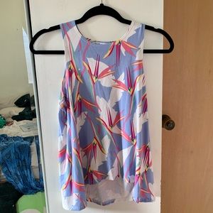 Fighting eel tank cece